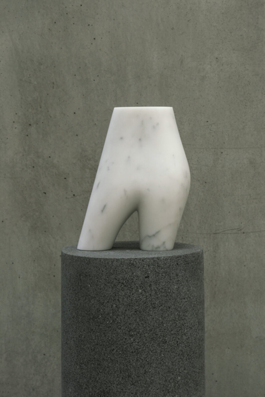 Torso