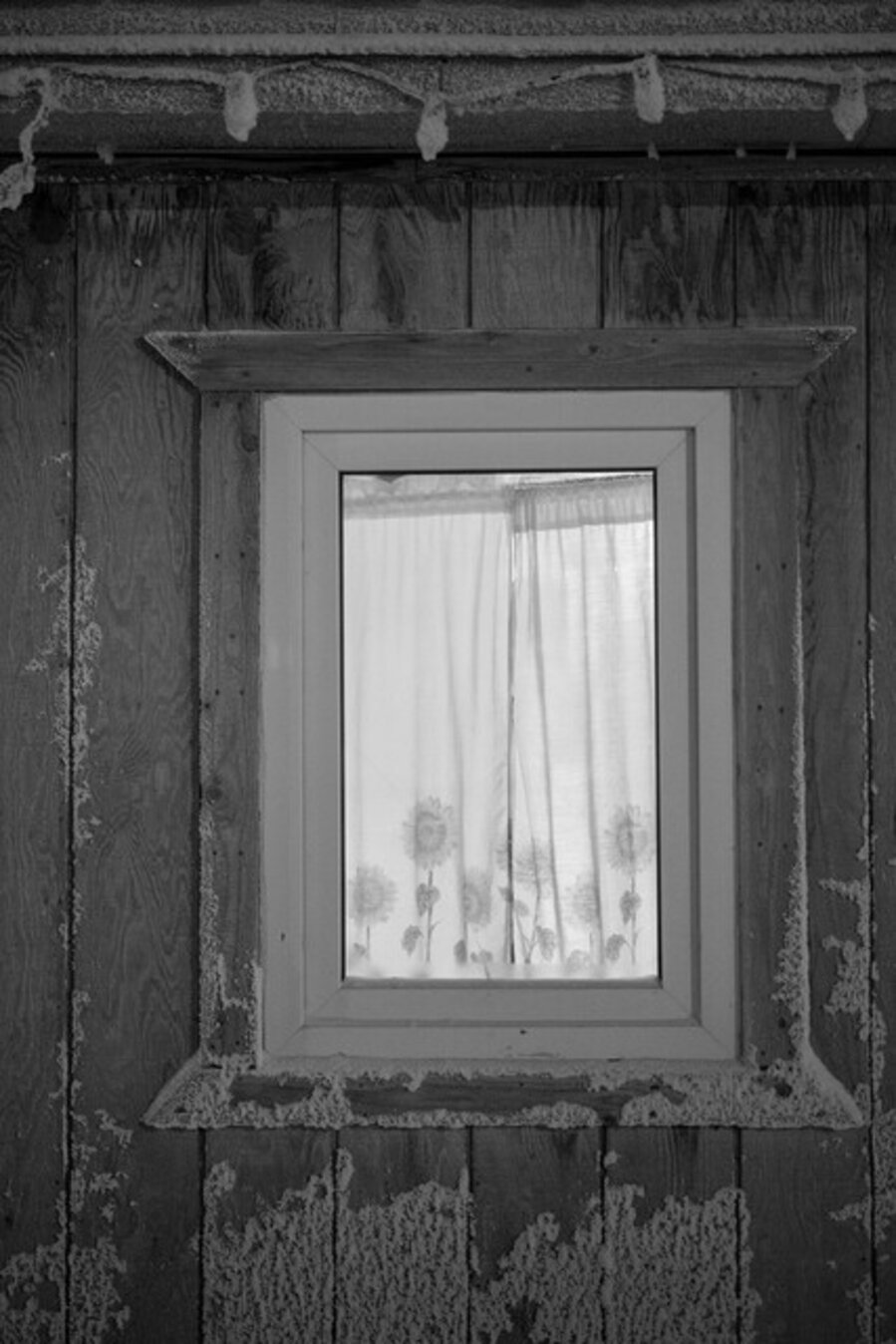Arctic Portal 01