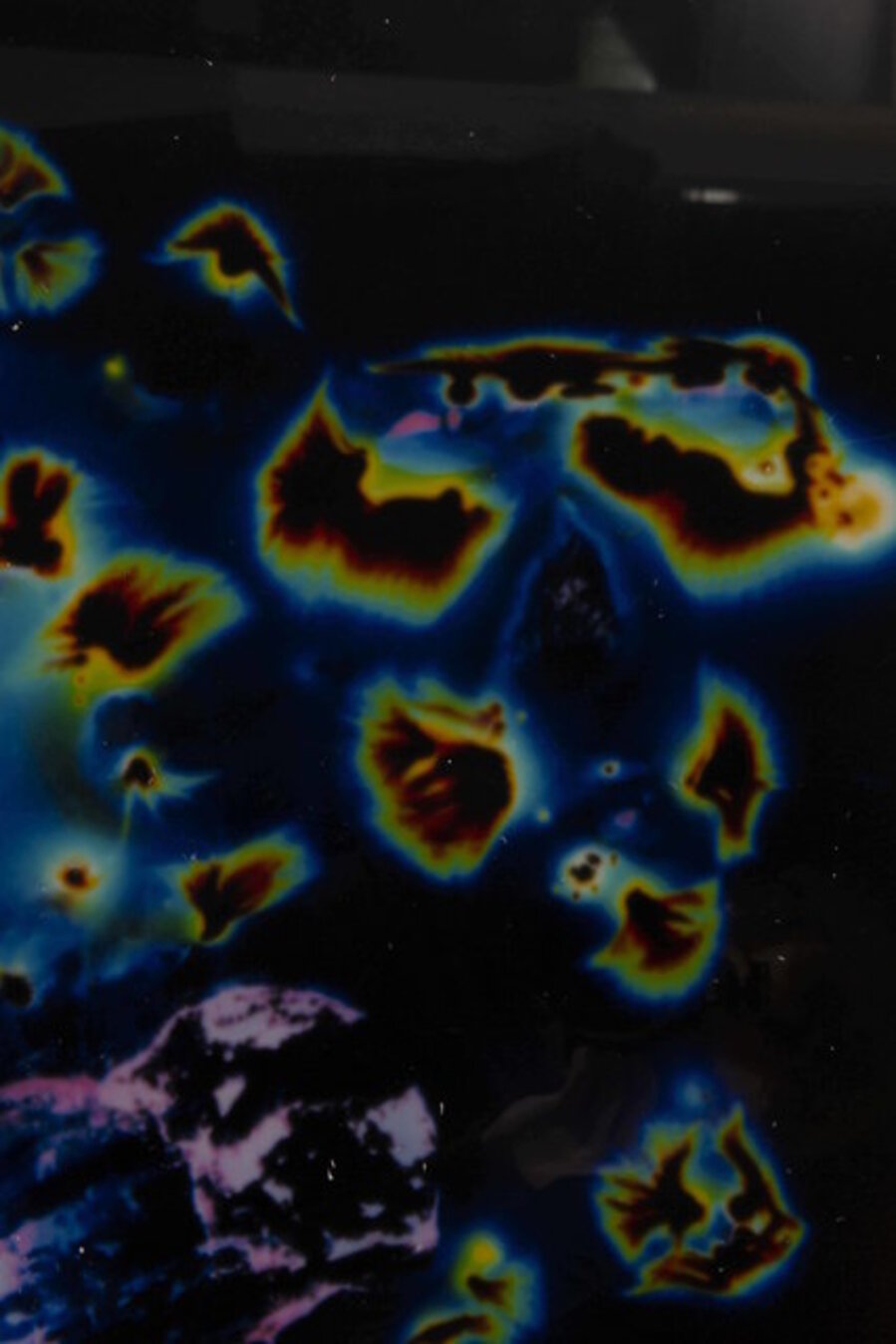 Unseen Potentials (Psilocybe Atlantis - Sclerotia)