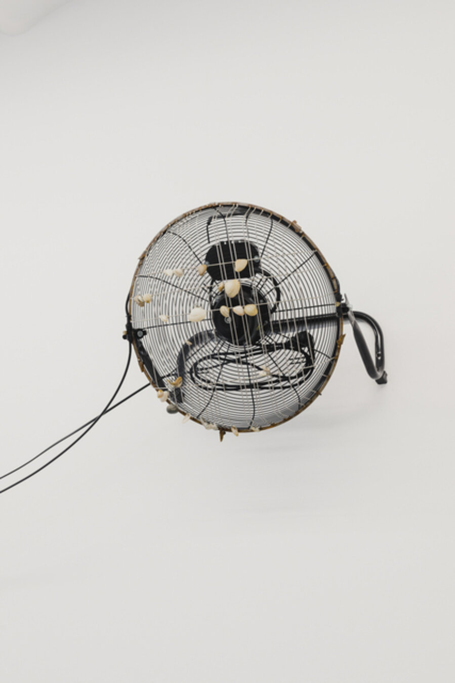 Ventiladors petxines (sur)