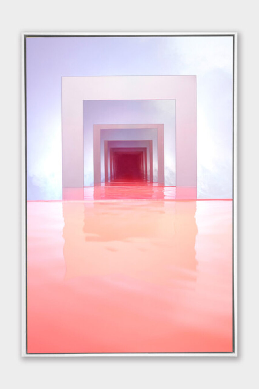 Pink Rose Petal Speculation