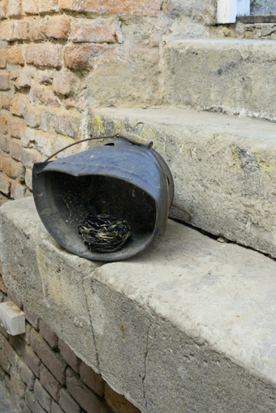 The Bucket