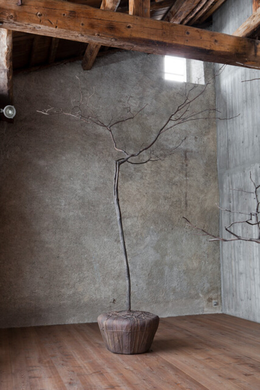 Trees & Roots #1 (in collaboration with Jean-Lou Majerus)