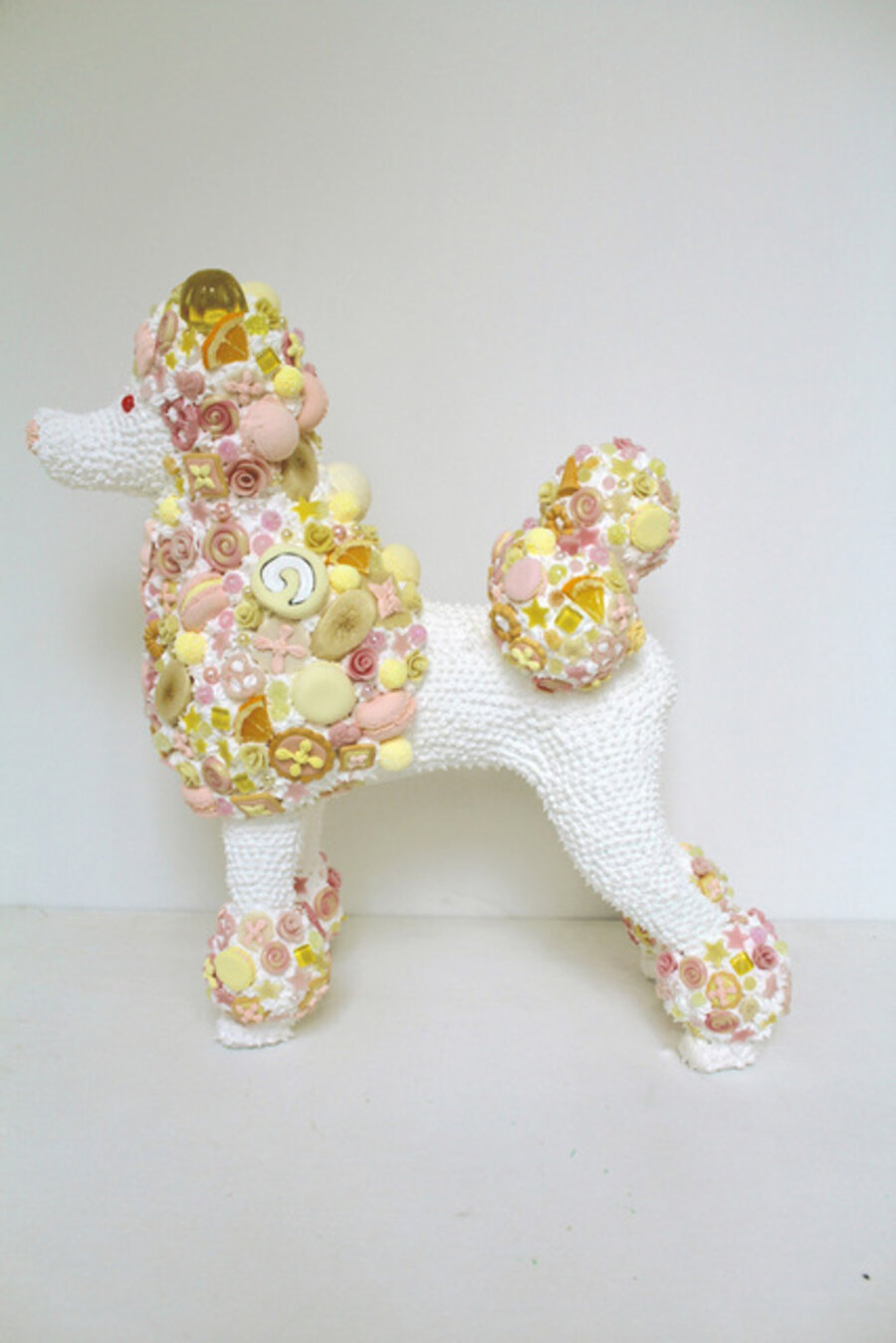 Sweet Poodle