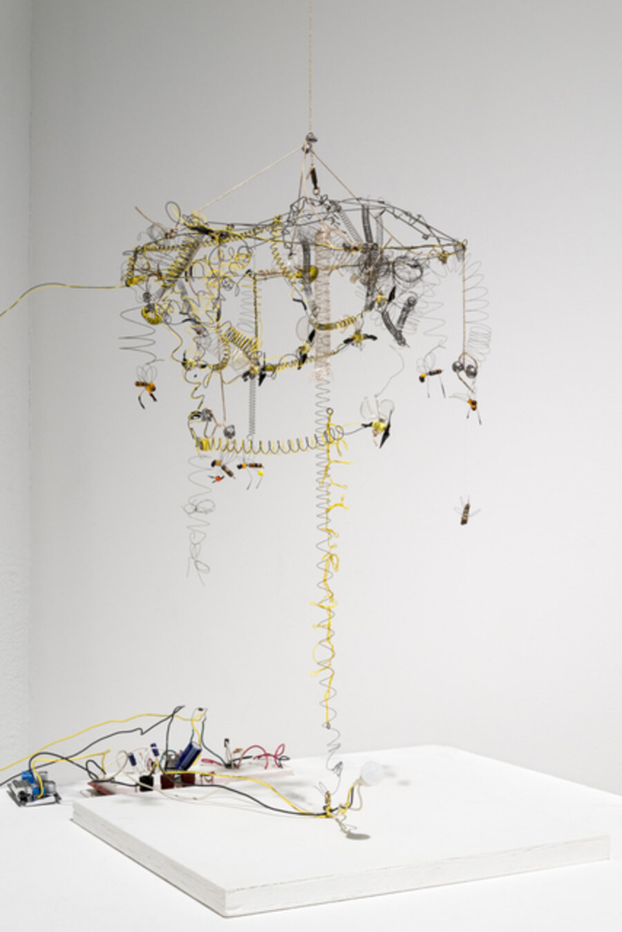 Kinetic Study of Bees No.