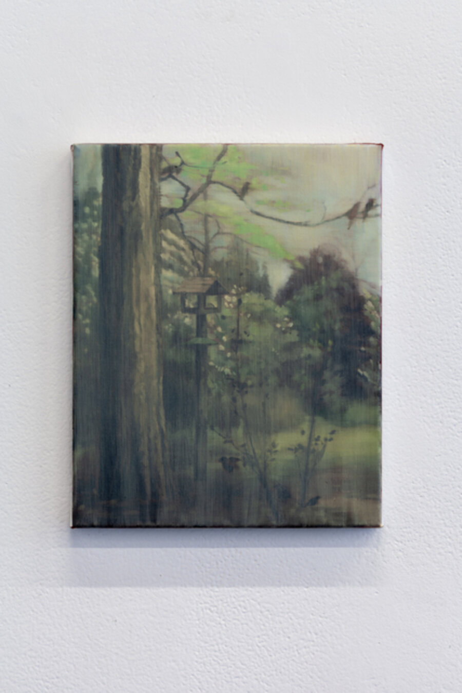 View of trees and birds #1