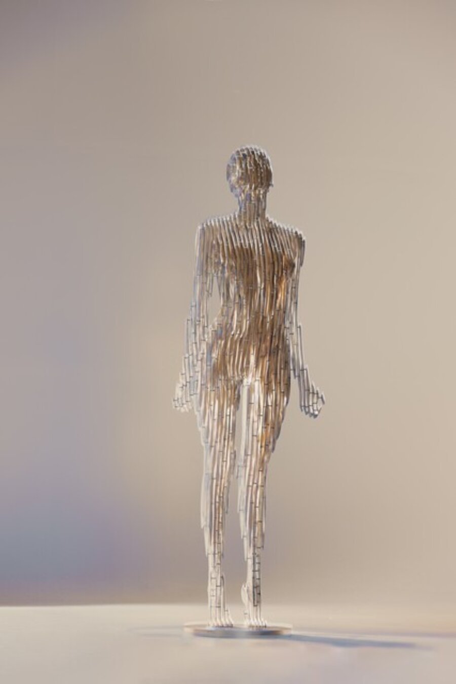 Ekstasis
