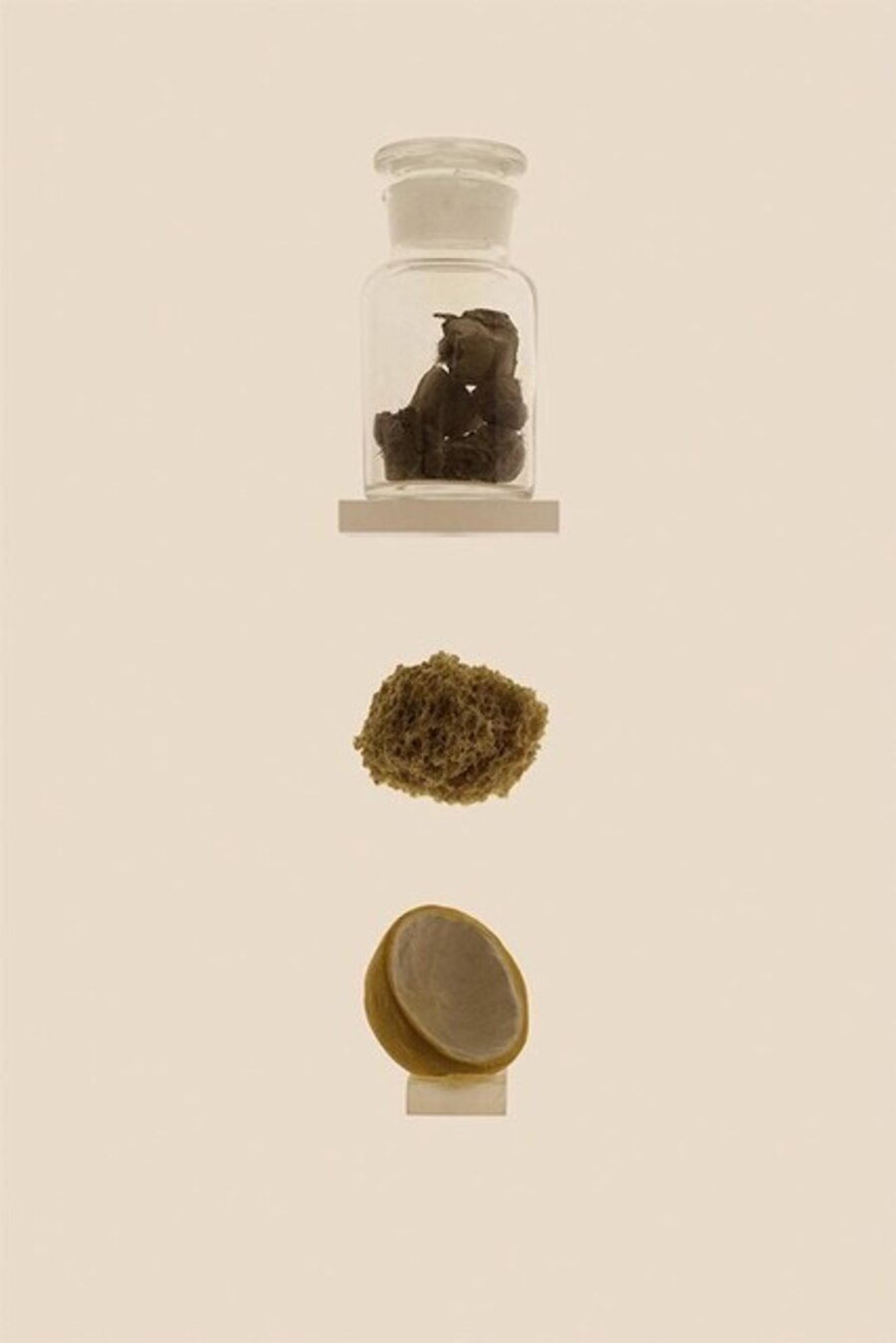 ANCIENT ACIDIC CONTRACEPTIVES