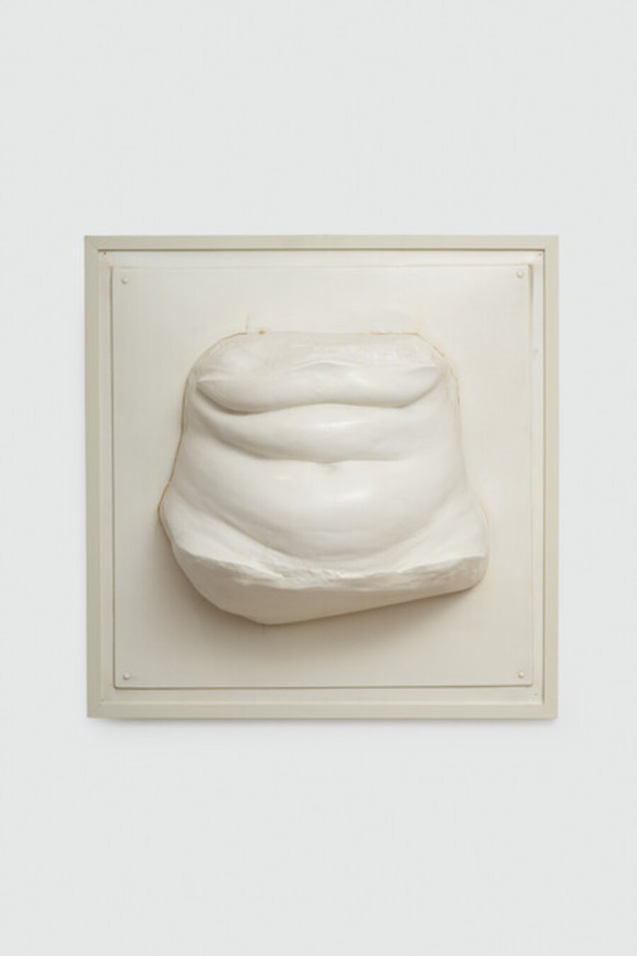 Ventre blanc