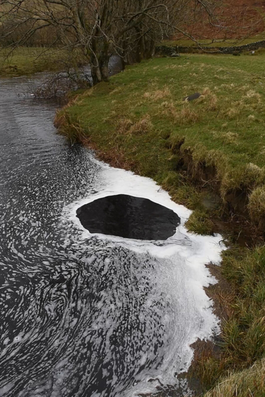 Nine stones thrown into Scaur Water, Scaur glen, Dumfriesshire, Scotland, 18 March 2017