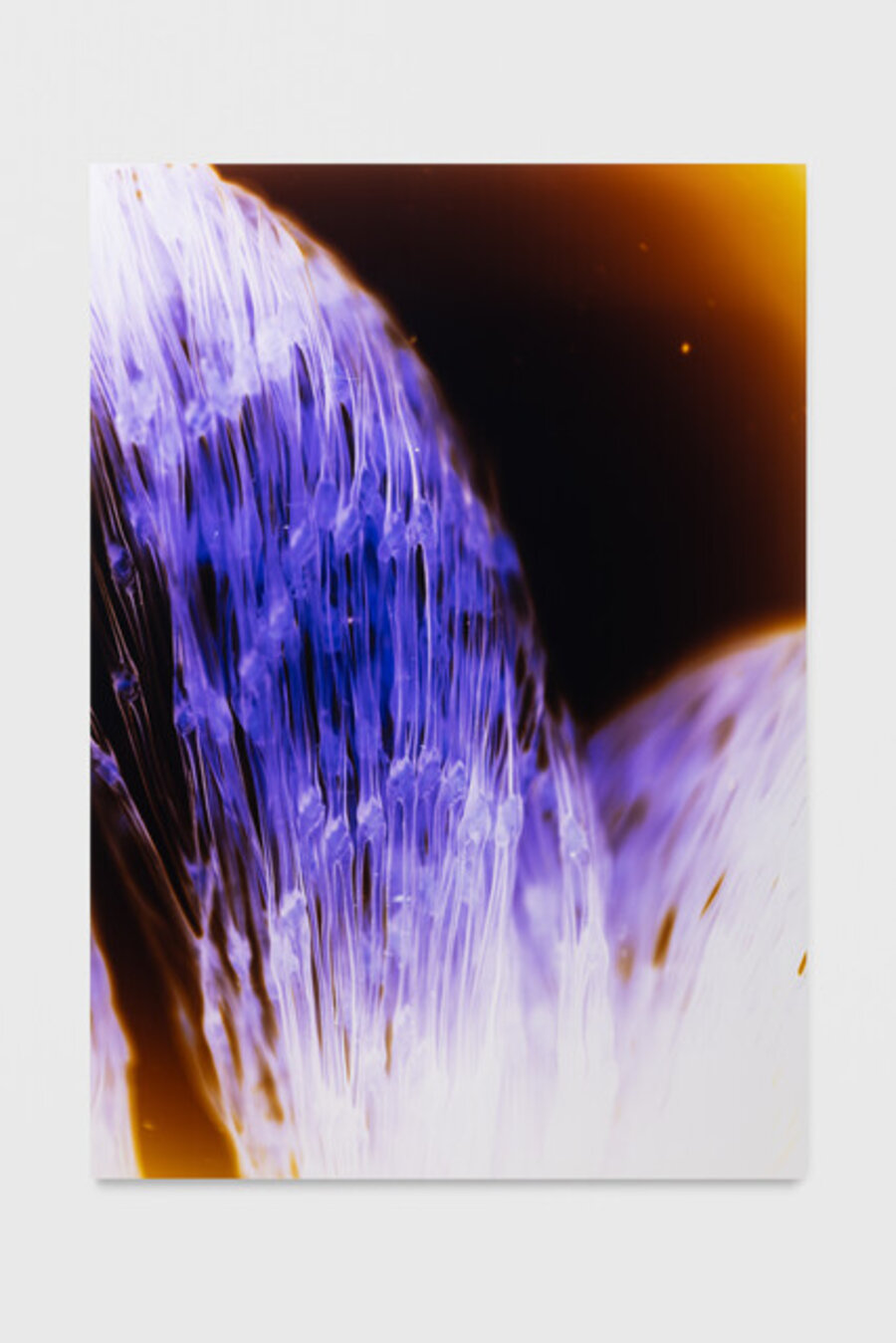 Synapse 19:01
