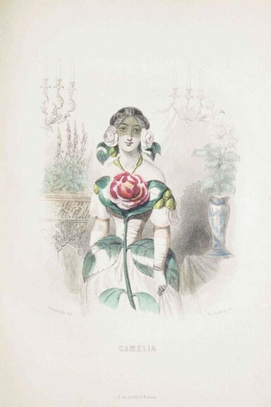 Camelia - Les Fleurs Animées Vol.I