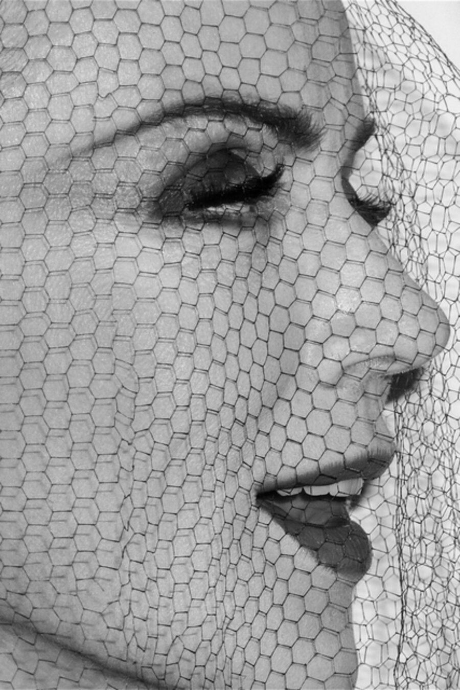 A Veiled Daphne Guinness