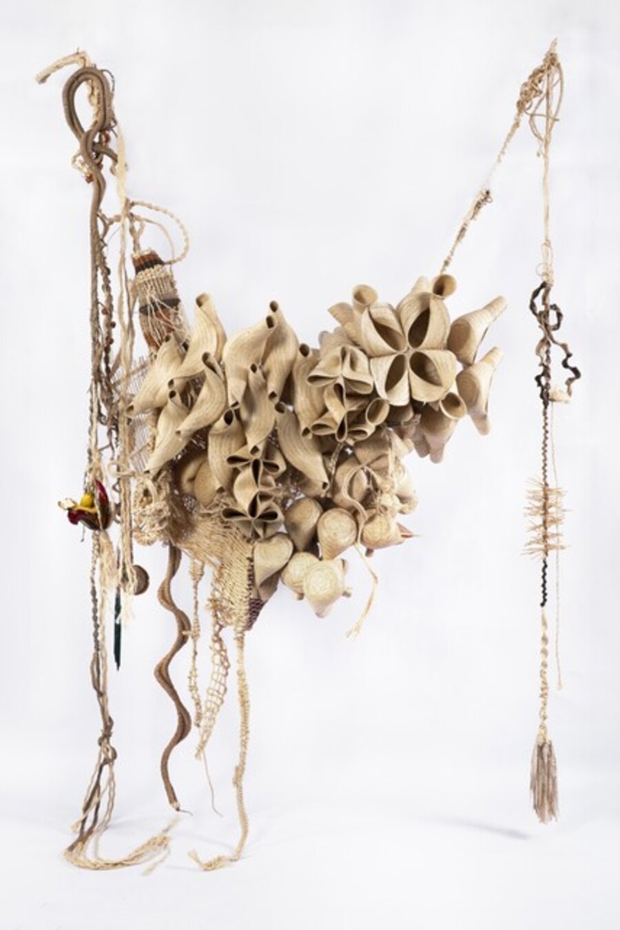Ninho Comunal (Summer plant)