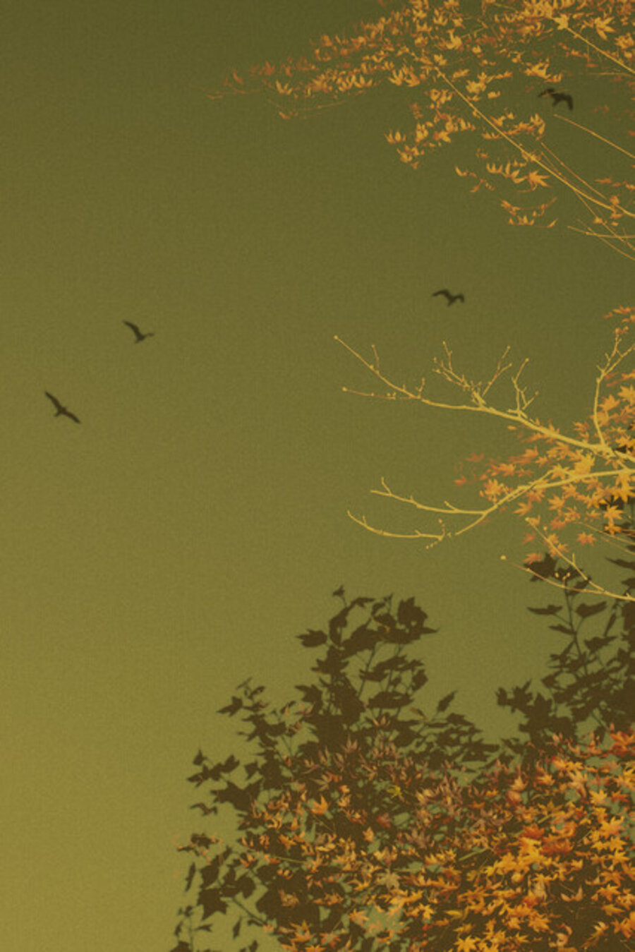 Automne, 2022