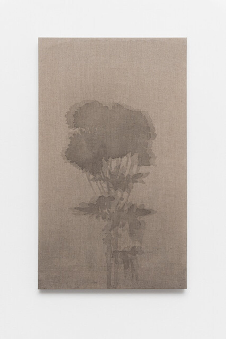 The Stranger (chrysanthemums)
