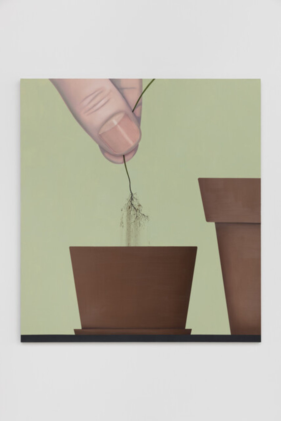 Root