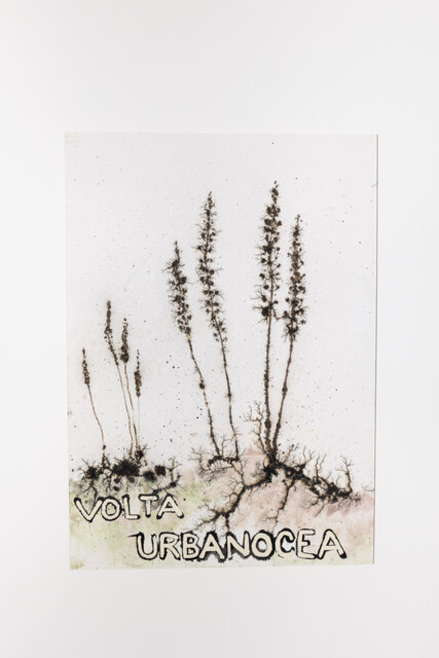 VOLTA URBANOCEA