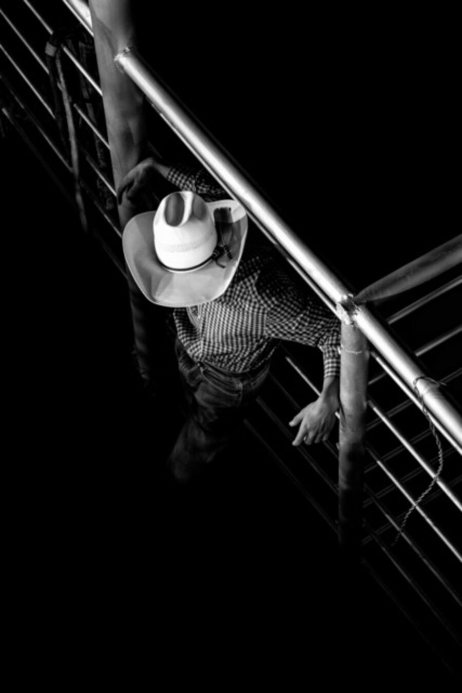 Rodeo Cowboy