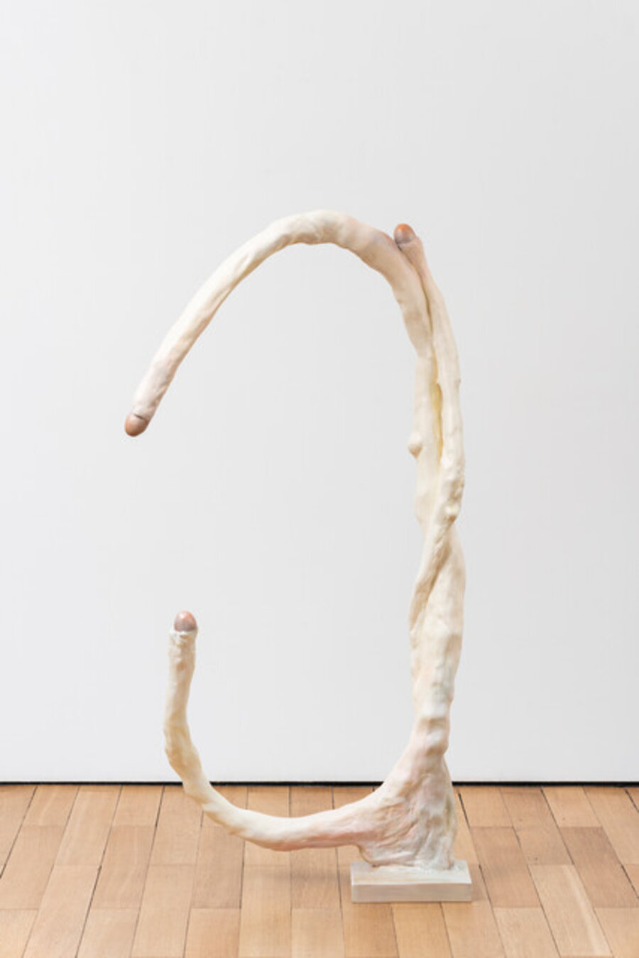 Swan Tree / Árvore Cisne