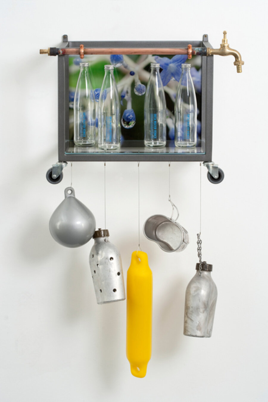 Amazonia - Vitrine