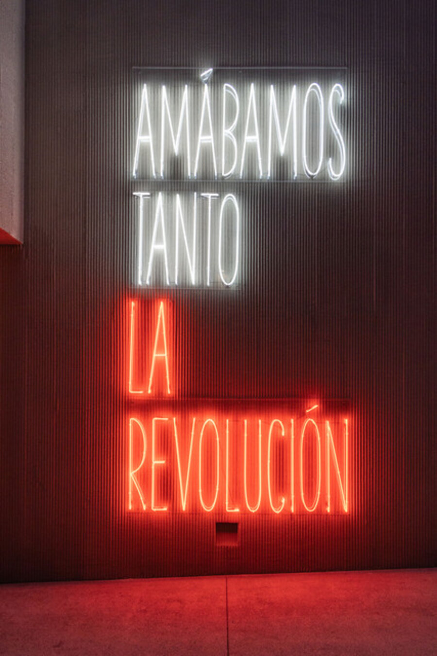 Amábamos tanto la revolución