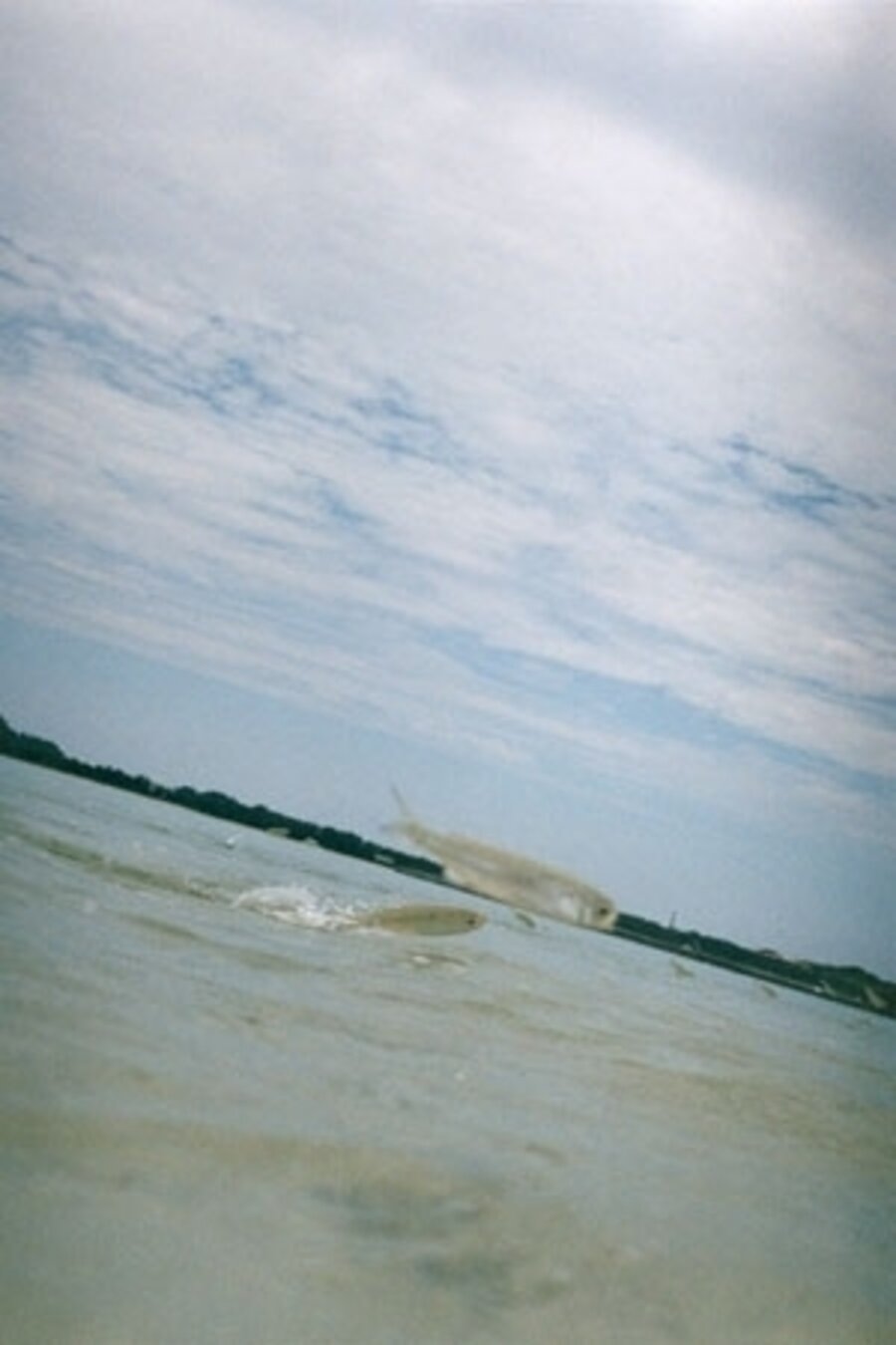 Amamioshima, from the series half awake and half asleep in the water