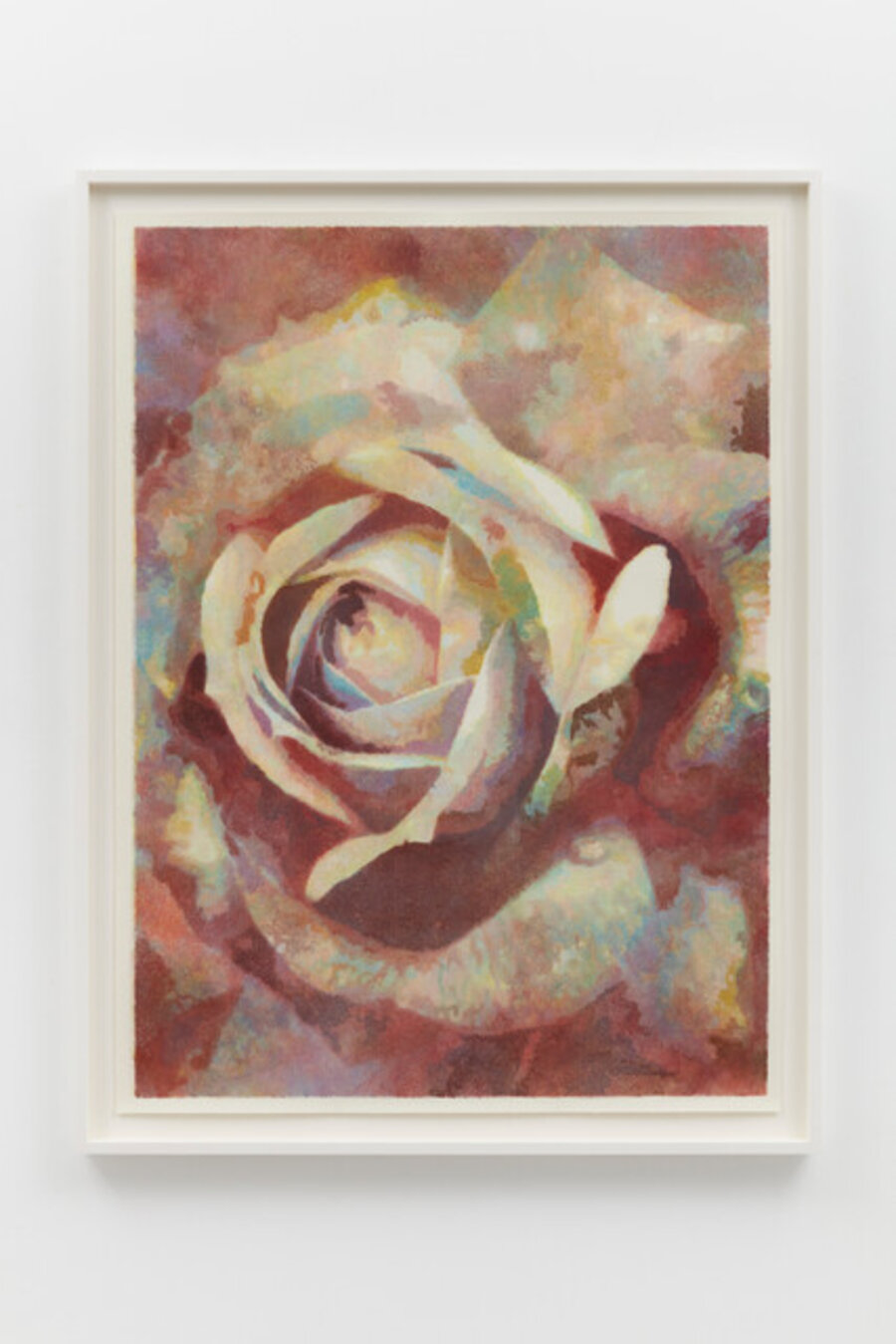 Untitled (Rose)