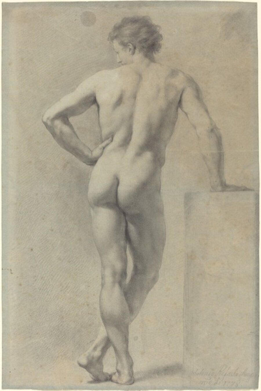 Male Nude Study