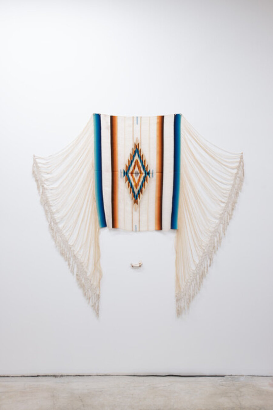 reliquary for Coyote / from flesh to dust, an altar for spirit