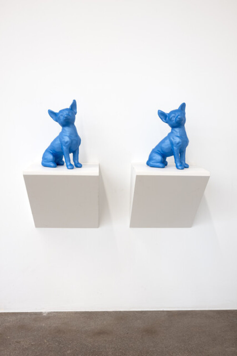 Blue Dog