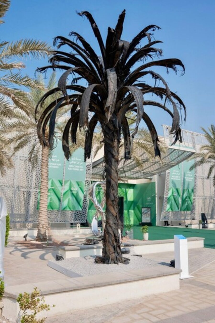 Black Palm
