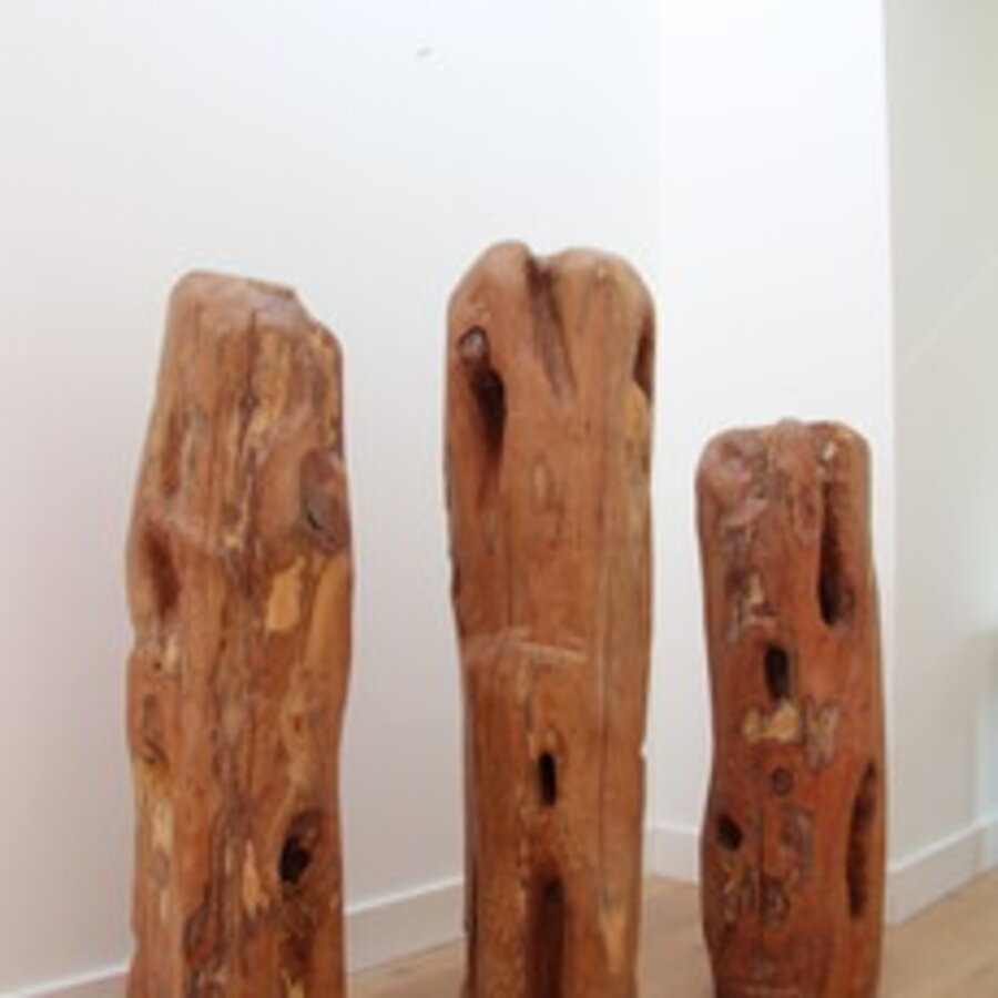 Family of Yew 1
