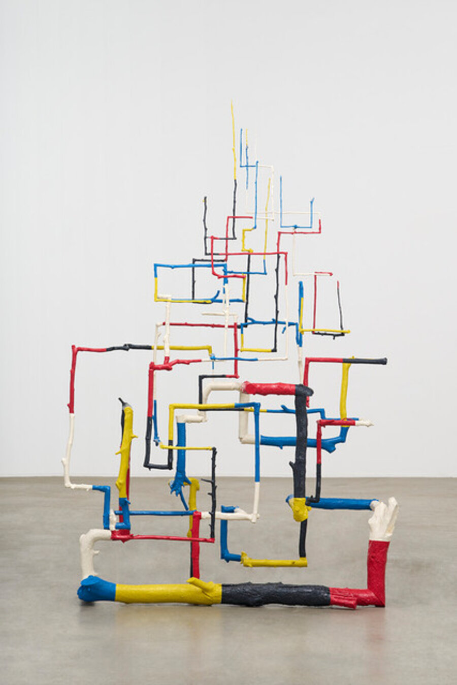 Five-Color Branches