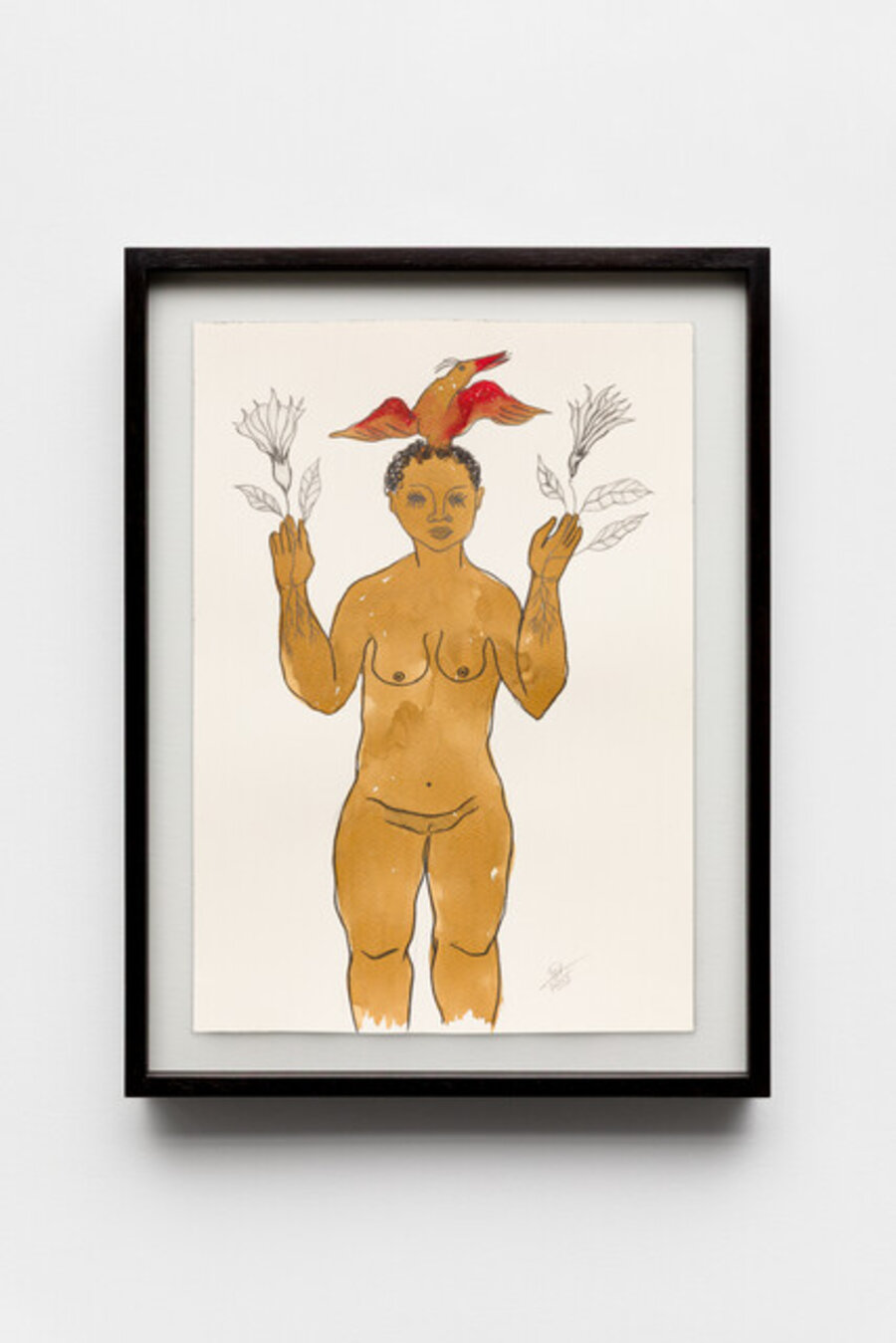 Angel's trumpet, from the series Senhora das Plantas