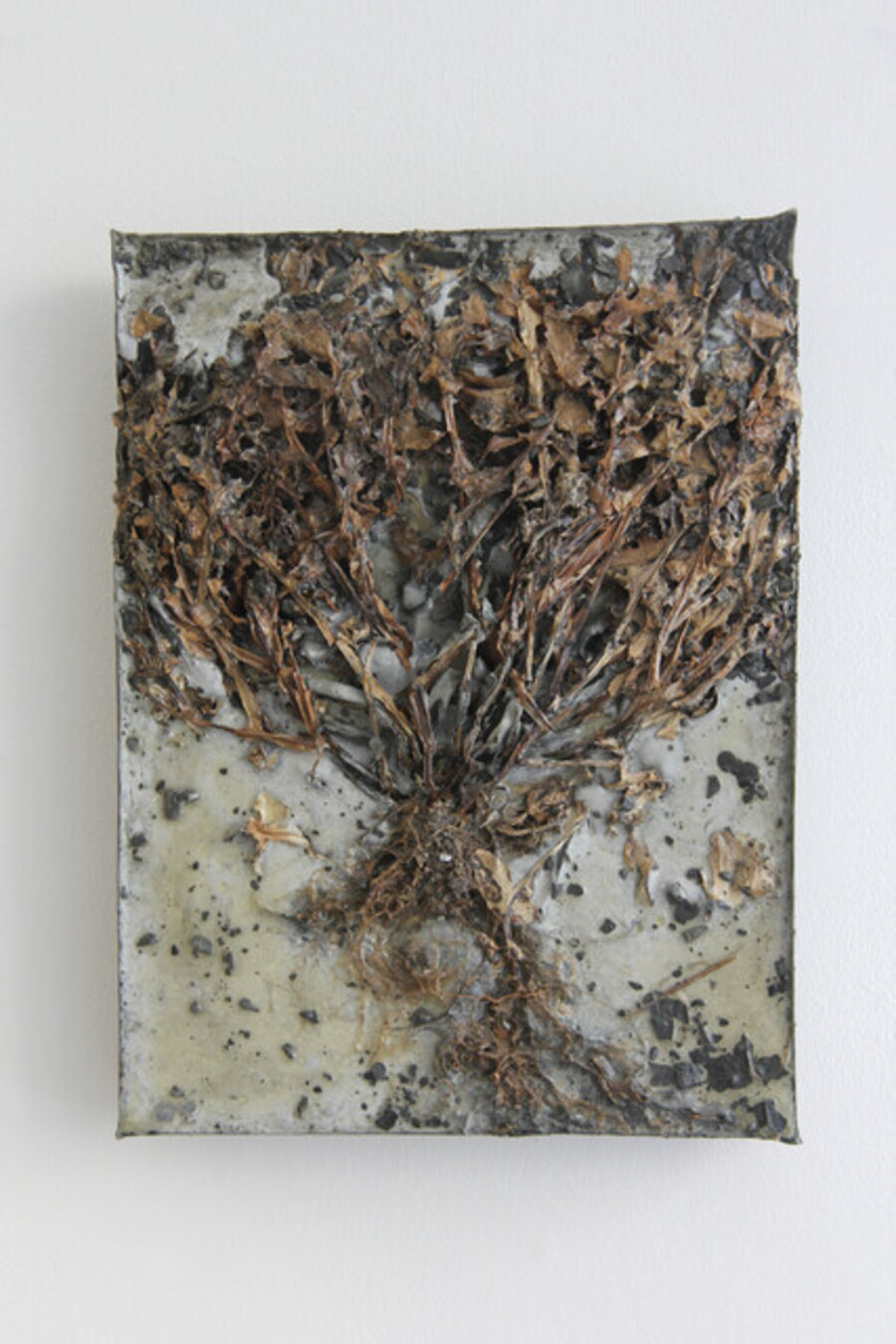 From Immortality Series