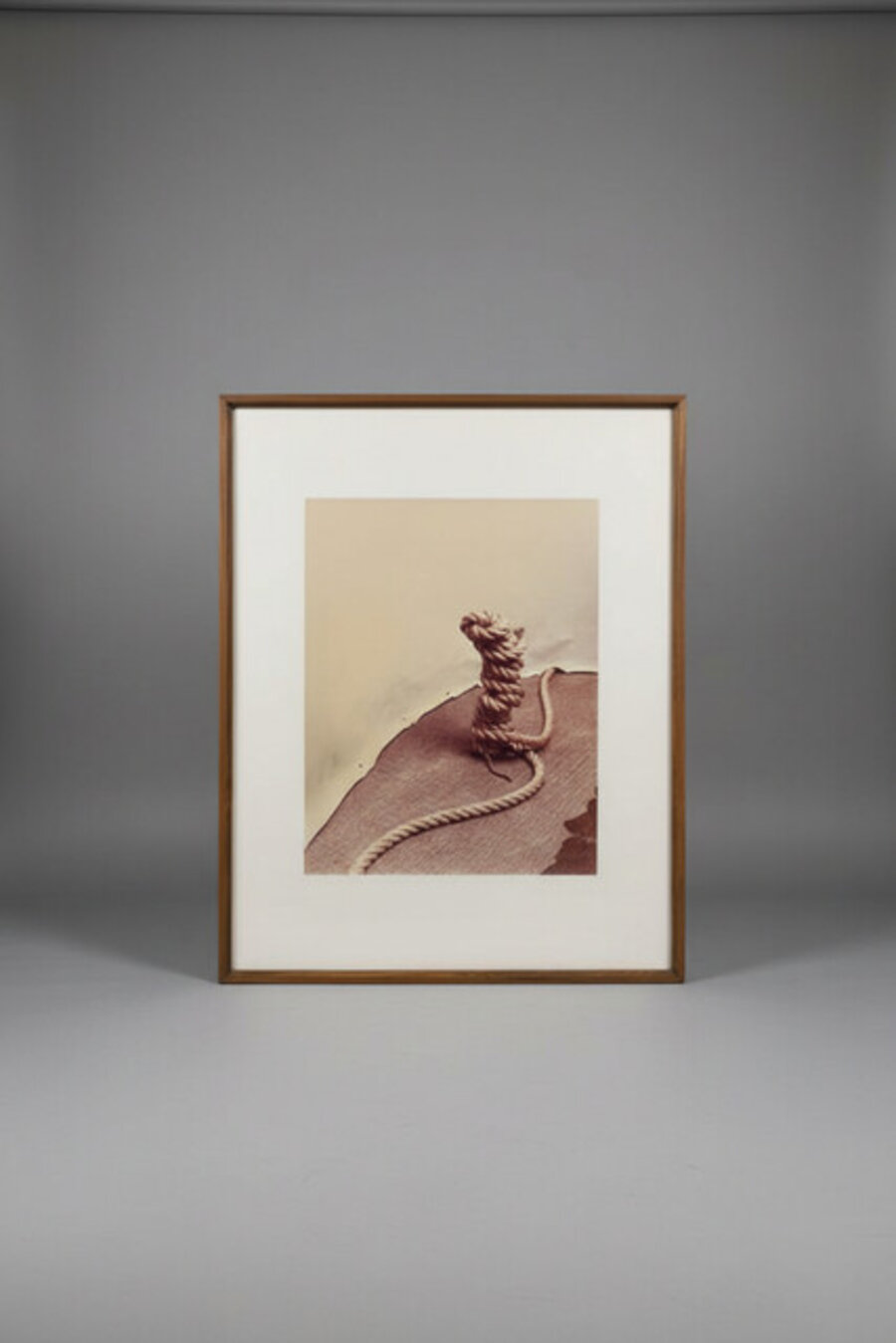 Untitled 1981