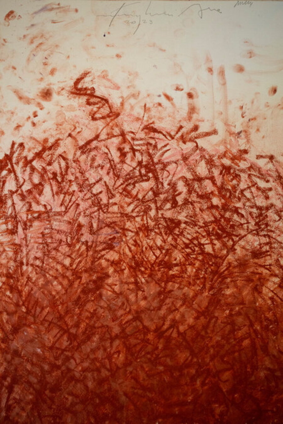 Untitled 6