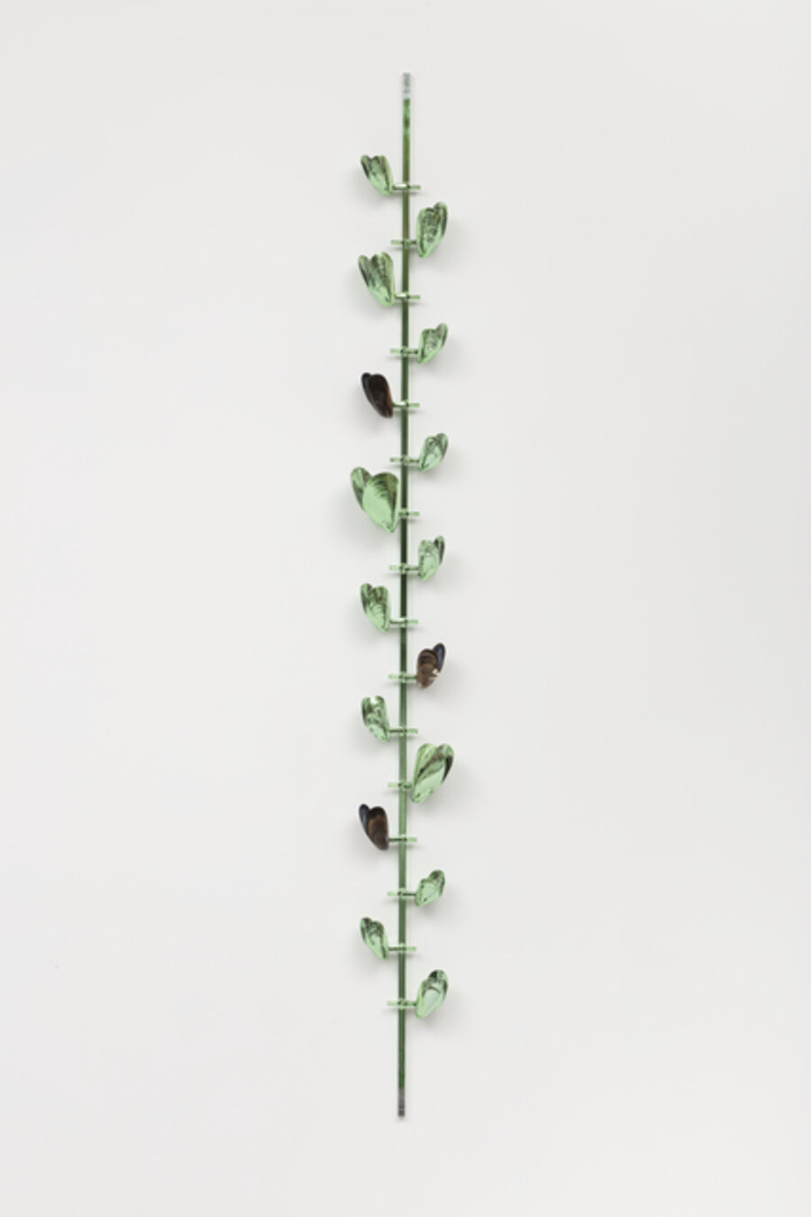 Stem