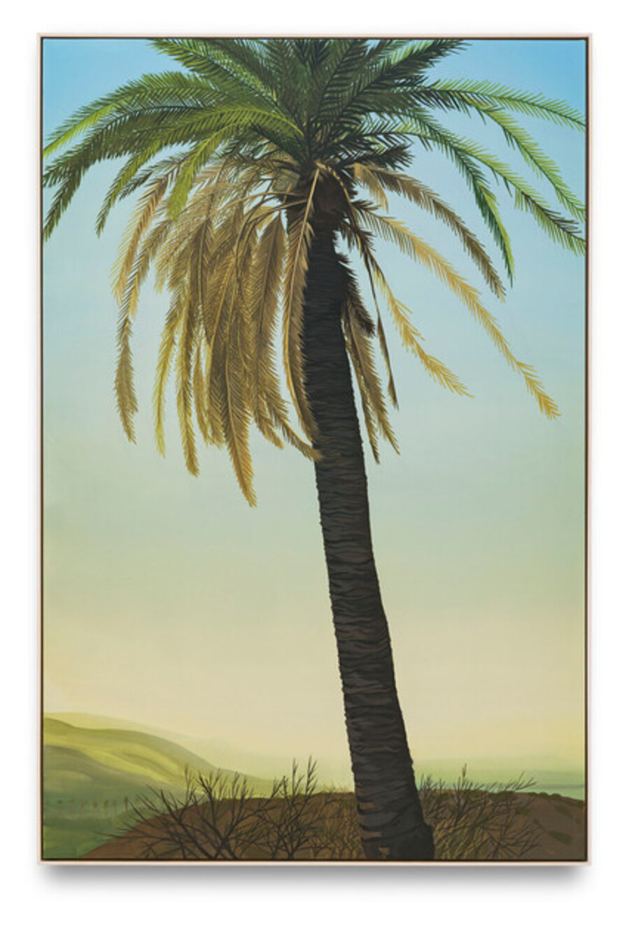 In Glendale (Fan Palm II)