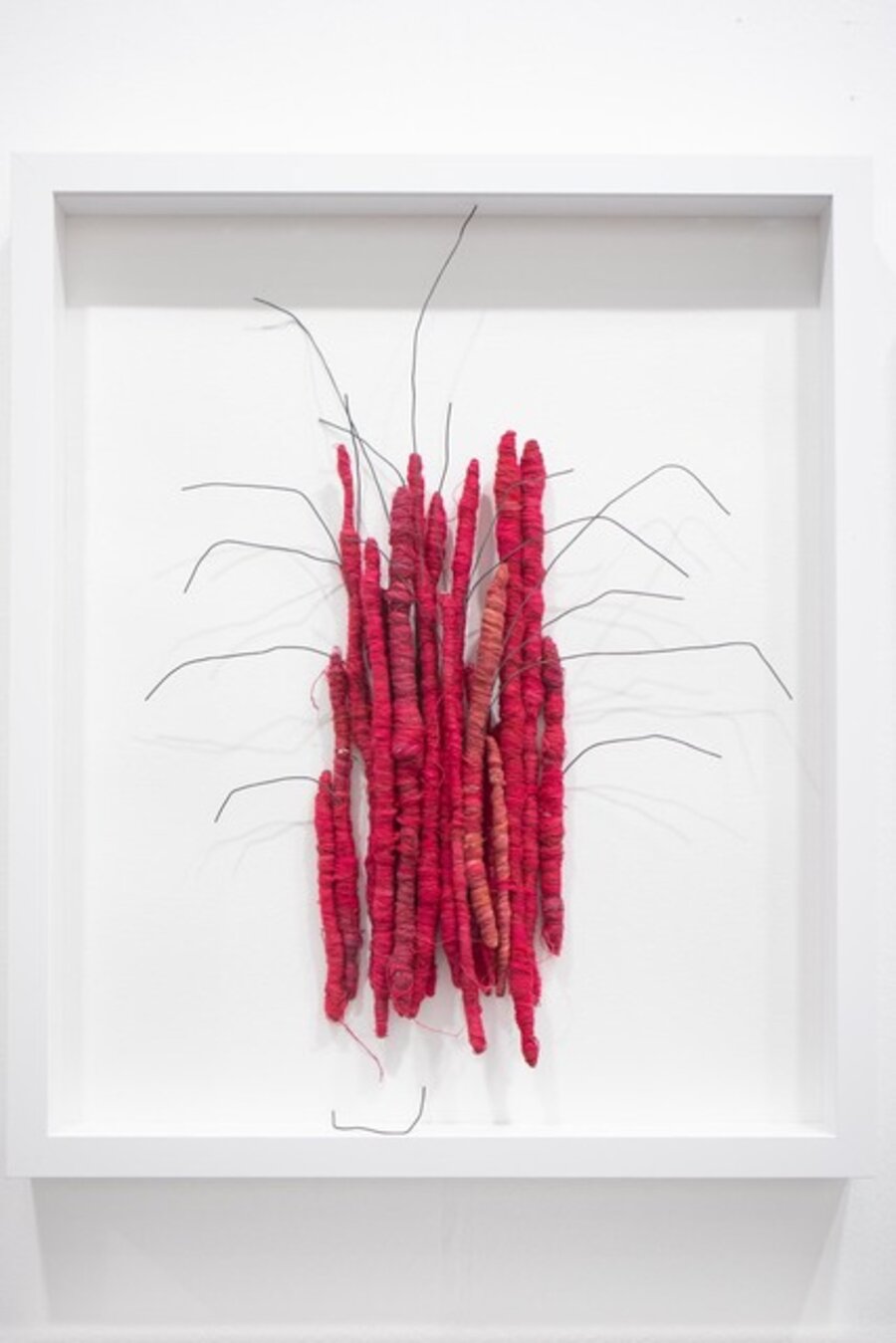 untitled (insect)