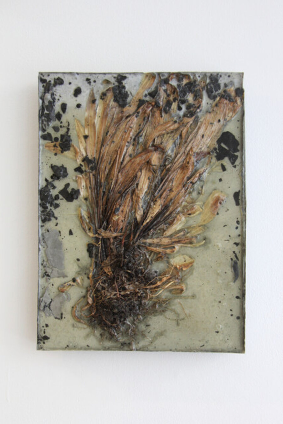 From Immortality Series