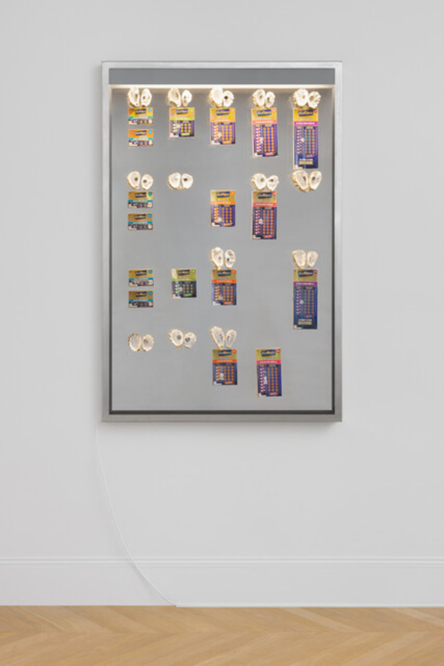 untitled vertical scratch lotto and oyster shells vitrine