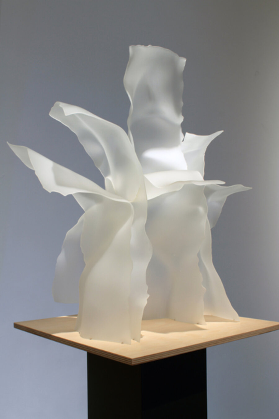 Memory of Sophie Calle's Flower