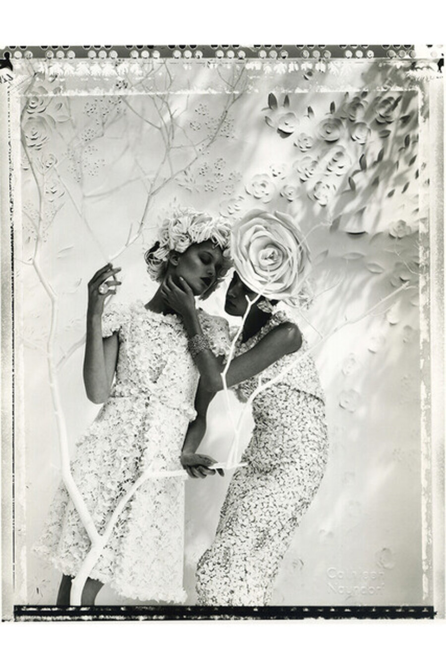 Les Deux Camellias