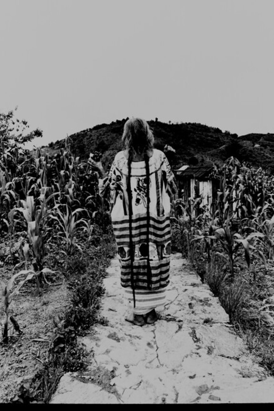 Maria Sabina Looking Back in the Corn Field