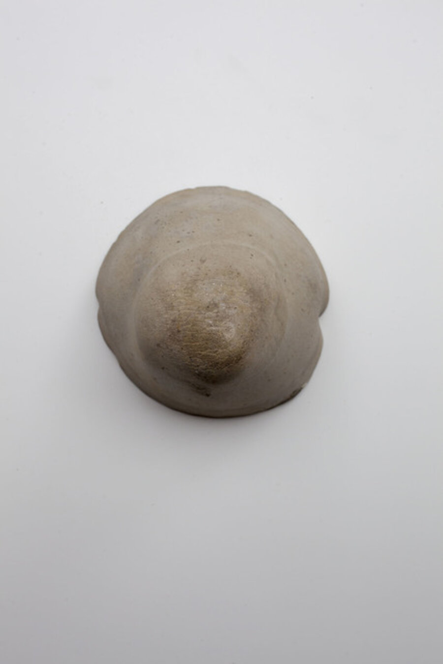 Femme Fontaine / Elbow