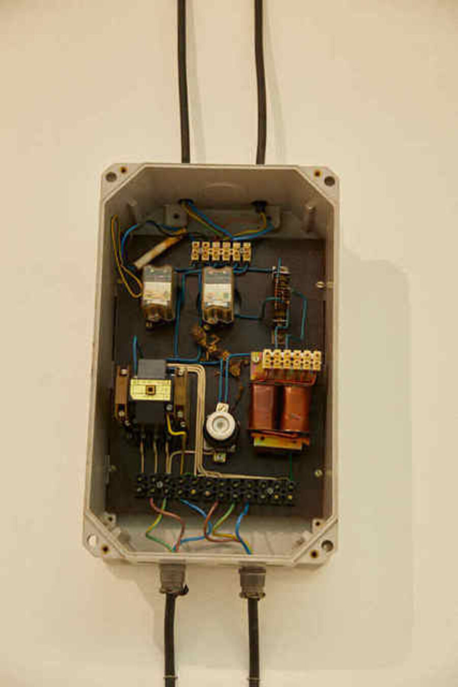Note the lizard on the circuit