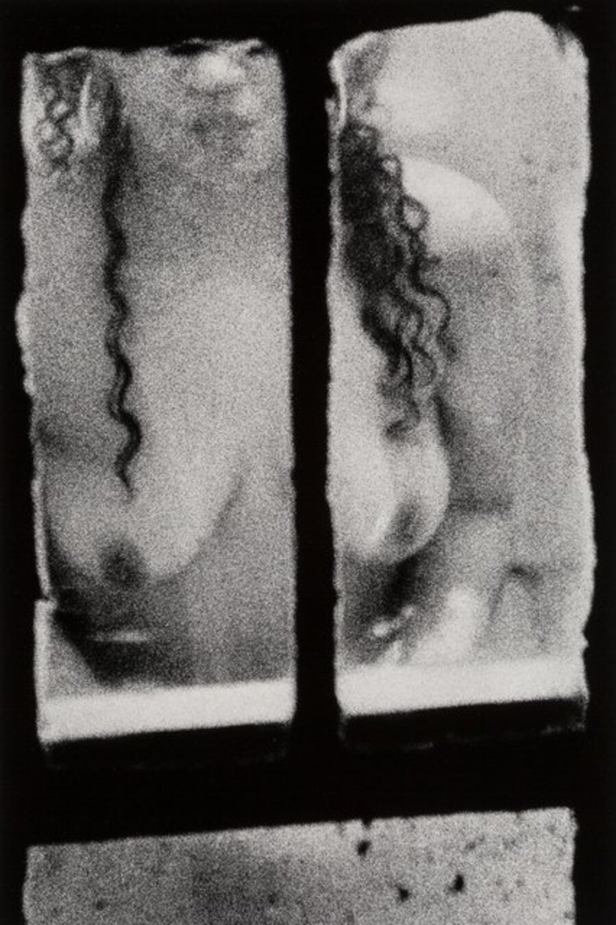 Untitled from The Window Series