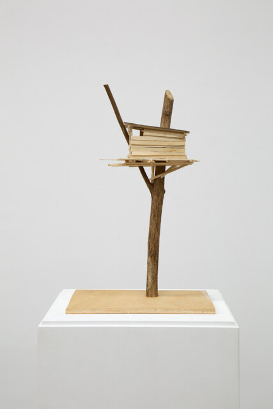 Bonsai n°8